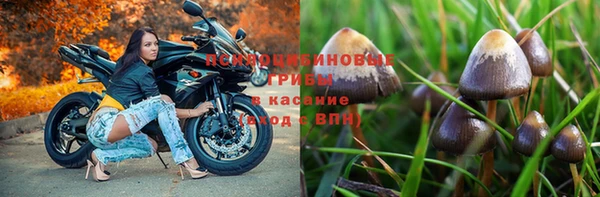 герыч Горно-Алтайск