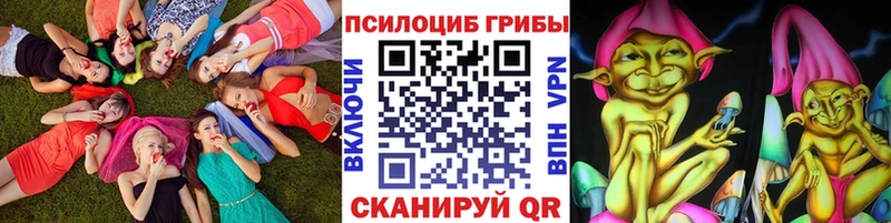 Купить где  Рассказово  Галлюциногенные грибы мицелий 